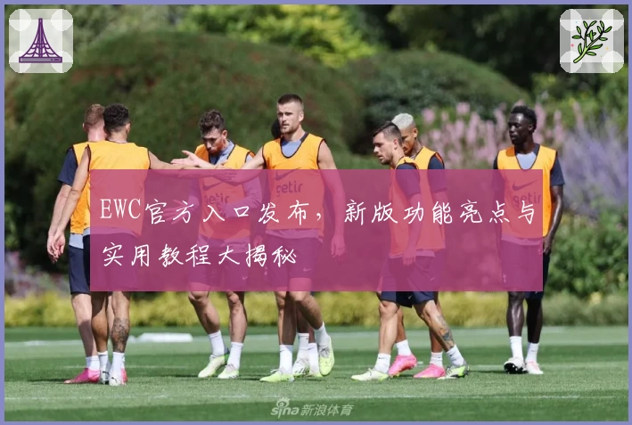 EWC官方入口发布，新版功能亮点与实用教程大揭秘