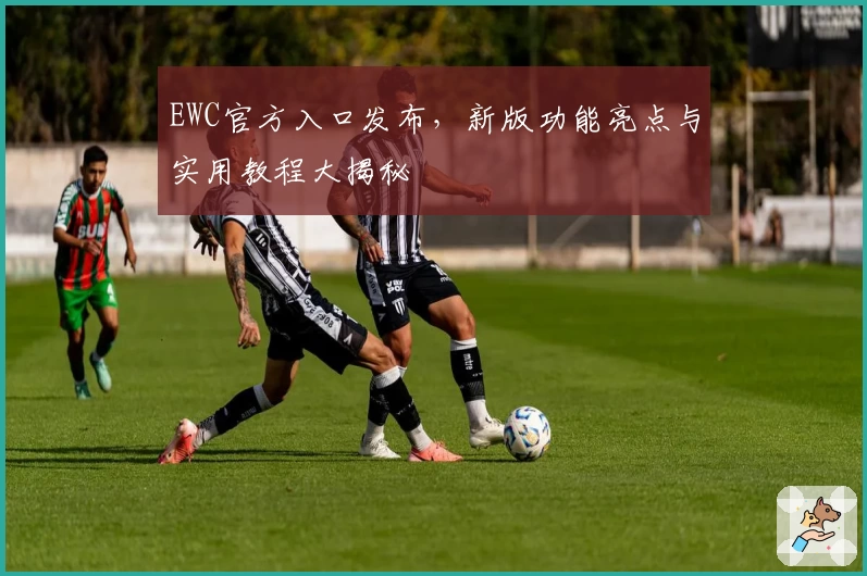 EWC官方入口发布，新版功能亮点与实用教程大揭秘